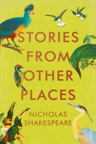 Książka Stories from Other Places Nicholas Shakespeare