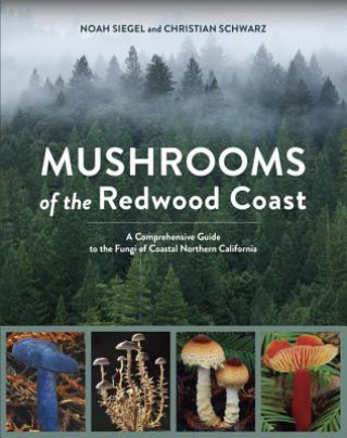 Książka Mushrooms Of The Redwood Coast Noah Siegel