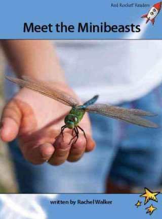 Buch MEET THE MINIBEASTS 