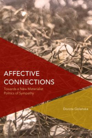 Kniha Affective Connections Dorota Golanska