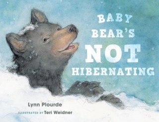 Książka Baby Bear's Not Hibernating Lynn Plourde