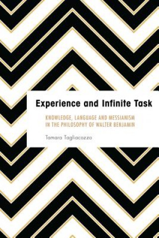 Könyv Experience and Infinite Task Tamara Tagliacozzo