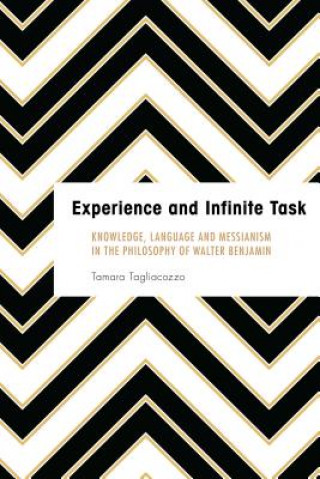 Kniha Experience and Infinite Task Tamara Tagliacozzo