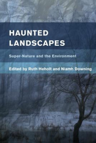 Kniha Haunted Landscapes Niamh Downing