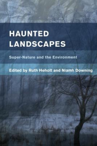 Knjiga Haunted Landscapes Niamh Downing