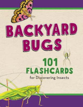 Materiale tipărite Backyard Bugs Todd Telander