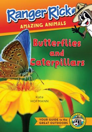 Livre Butterflies Stacy Tornio