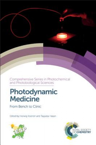 Könyv Photodynamic Medicine Herwig Kostron