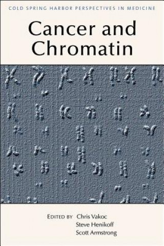 Könyv Chromatin Deregulation in Cancer 