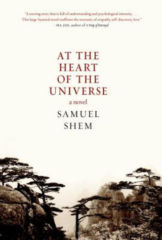 Buch At The Heart Of The Universe Shem