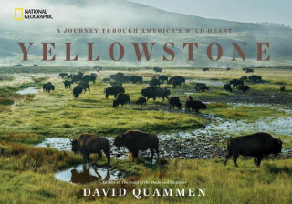 Książka Yellowstone David Quammen