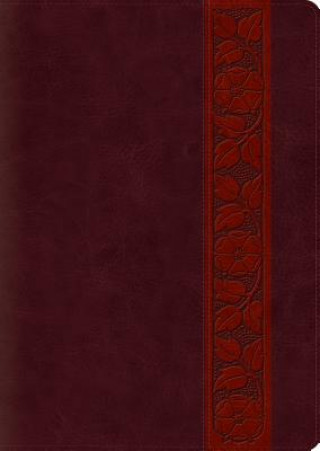 Carte ESV Study Bible, Large Print 