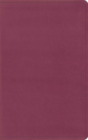 Книга ESV Value Thinline Bible 