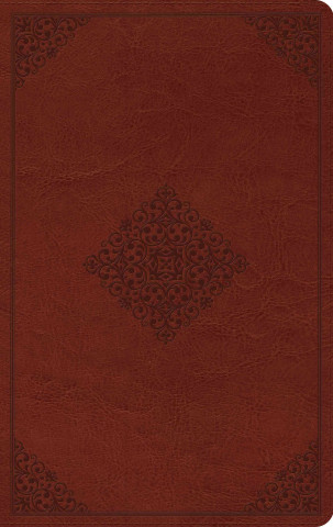 Knjiga ESV Value Thinline Bible 