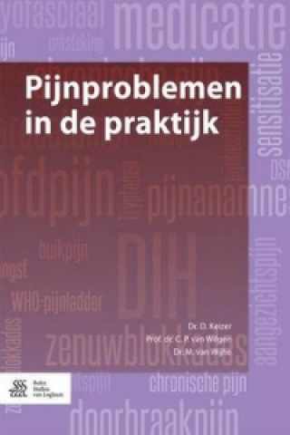 Kniha Pijnproblemen in de praktijk D. Keizer