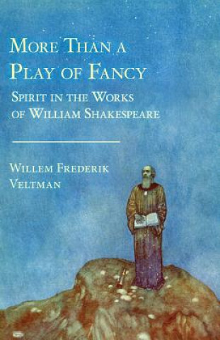 Kniha More Than a Play of Fancy Willem Frederik Veltman