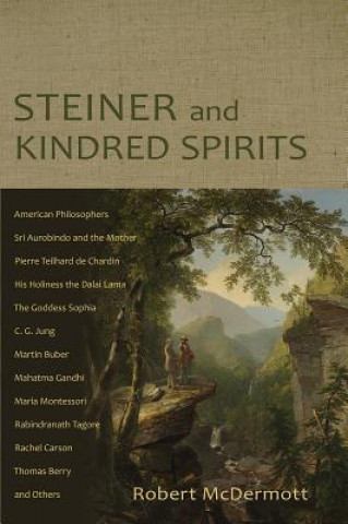 Книга Steiner and Kindred Spirits ROBERT MCDERMOTT