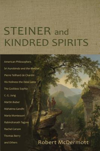 Könyv Steiner and Kindred Spirits ROBERT MCDERMOTT