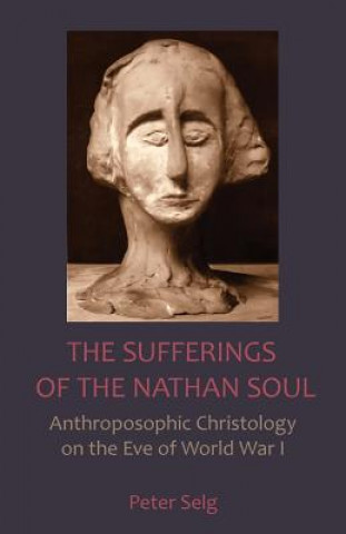 Book Sufferings of the Nathan Soul Peter Selg