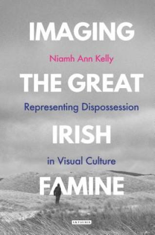 Könyv Imaging the Great Irish Famine KELLY NIAMH ANN