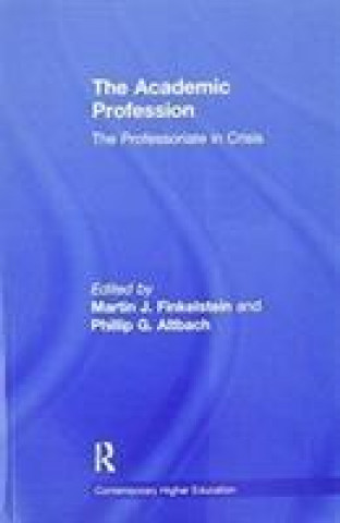 Kniha Academic Profession Martin J. Finkelstein
