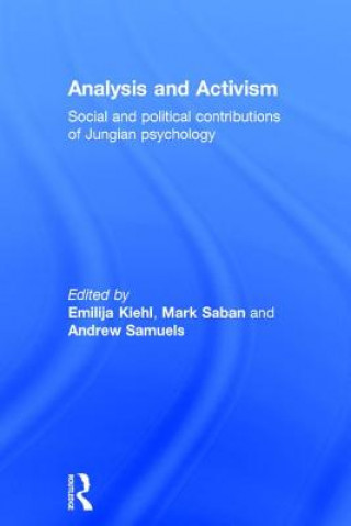 Buch Analysis and Activism 