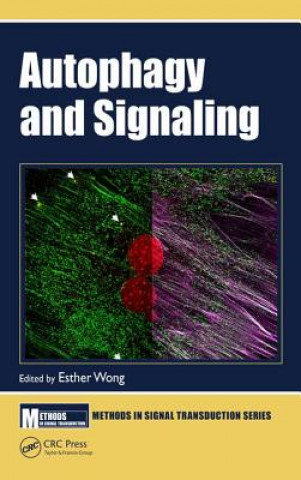 Kniha Autophagy and Signaling 