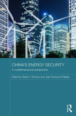 Knjiga China's Energy Security 