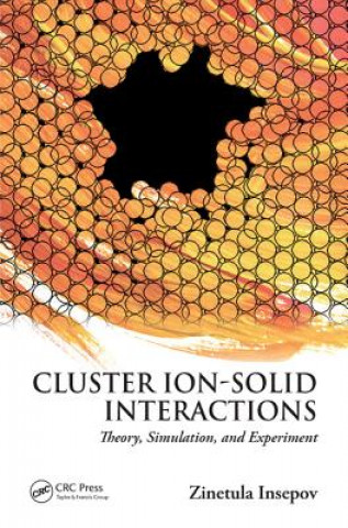 Knjiga Cluster Ion-Solid Interactions Zinetula Insepov