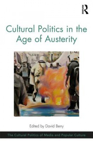 Book Cultural Politics in the Age of Austerity David Berry