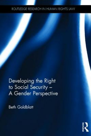 Buch Developing the Right to Social Security - A Gender Perspective Beth Goldblatt