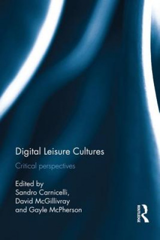 Kniha Digital Leisure Cultures 