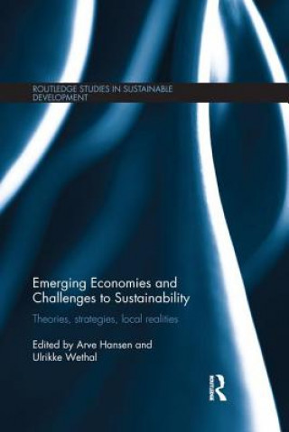 Książka Emerging Economies and Challenges to Sustainability 