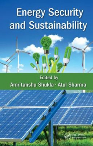 Könyv Energy Security and Sustainability Amritanshu Shukla