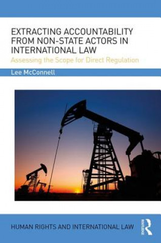 Buch Extracting Accountability from Non-State Actors in International Law Lee James McConnell