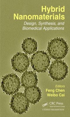 Kniha Hybrid Nanomaterials 