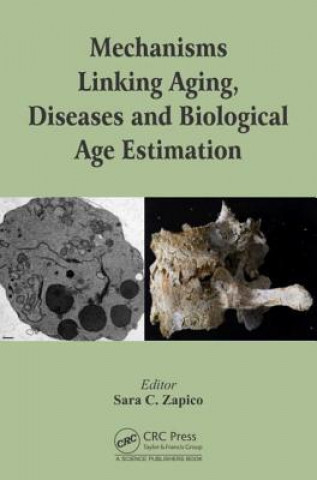 Könyv Mechanisms Linking Aging, Diseases and Biological Age Estimation Sara C. Zapico