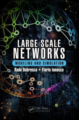 Kniha Large Scale Networks Radu Dobrescu