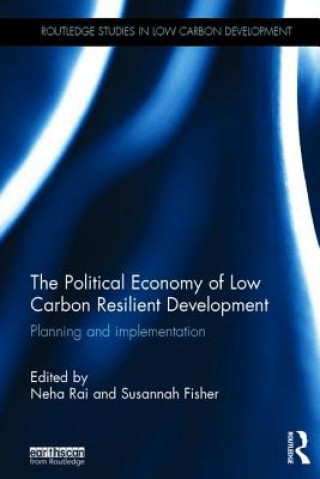 Kniha Political Economy of Low Carbon Resilient Development 
