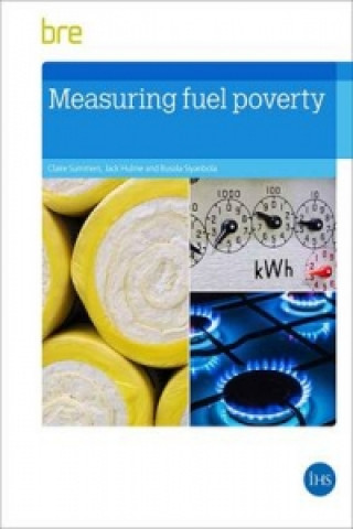 Książka Measuring Fuel Poverty Claire Summers