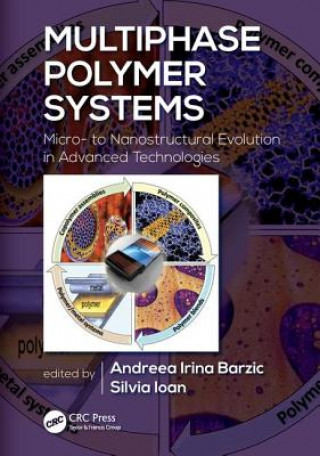 Könyv Multiphase Polymer Systems Andreea Irina Barzic