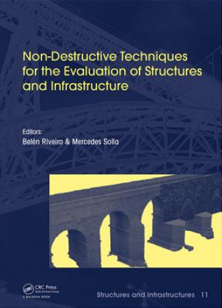 Knjiga Non-Destructive Techniques for the Evaluation of Structures and Infrastructure 