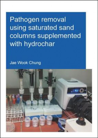 Carte Pathogen removal using saturated sand columns supplemented with hydrochar Jae Wook Chung