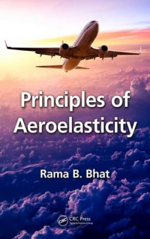 Knjiga Principles of Aeroelasticity Rama B. Bhat