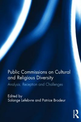 Kniha Public Commissions on Cultural and Religious Diversity LEFEBVRE