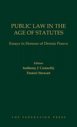 Kniha Public Law in the Age of Statutes 