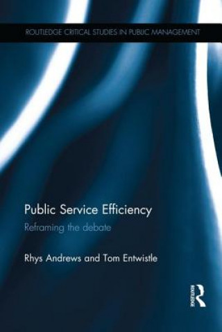 Kniha Public Service Efficiency Rhys Andrews
