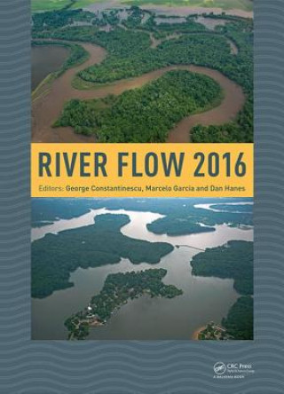 Book River Flow 2016 George Constantinescu