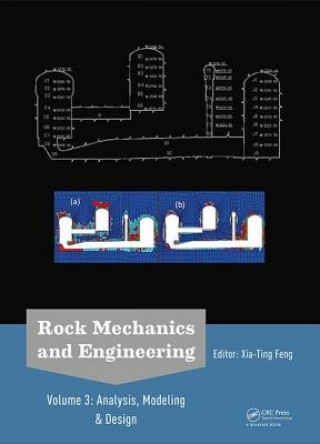 Könyv Rock Mechanics and Engineering Volume 3 Xia-Ting Feng