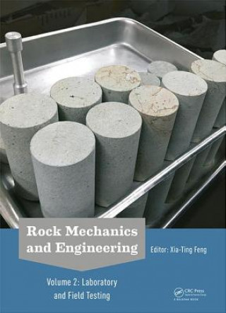 Kniha Rock Mechanics and Engineering Volume 2 Xia-Ting Feng